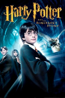 The Sorcerer's Stone