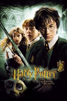 The Chamber of Secrets