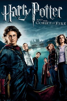 The Goblet of Fire
